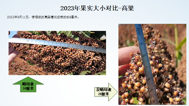 NB型 植物母液_第1张